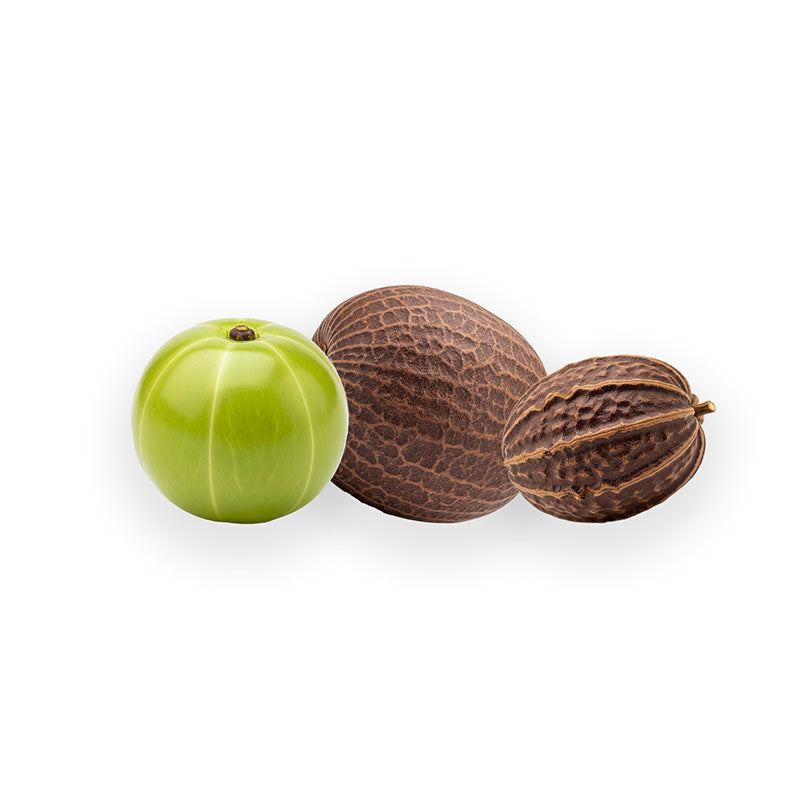Bio Triphala Pulver, hergestellt aus 33,33 % Amla-Früchten, 33,33 % Bheda-Früchten und 33,33 % Harad-Früchten, traditionell in der ayurvedischen Ernährung geschätzt. Reich an Antioxidantien, unterstützt Verdauung, Stoffwechsel und allgemeines Wohlbefinden. Vielseitig einsetzbar in Smoothies, Tees oder Kapselherstellung. Aplantis ist Großhändler für hochwertiges Bio Triphala Pulver – im B2B-Großhandel kaufen, ideal für Händler, Nahrungsergänzung und Wiederverkäufer von Superfoods.