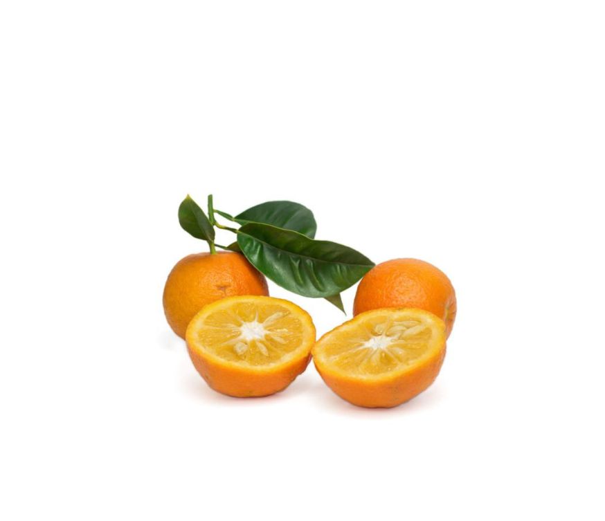 Bitterorange Extrakt (Citrus Aurantium) mit 6 % Synephrin, traditionell eingesetzt zur Unterstützung des Stoffwechsels und für natürliche Energie. Geeignet für Nahrungsergänzungsmittel und Superfood-Produkte. Aplantis bietet diesen Extrakt im B2B-Großhandel für Händler und Wiederverkäufer an.