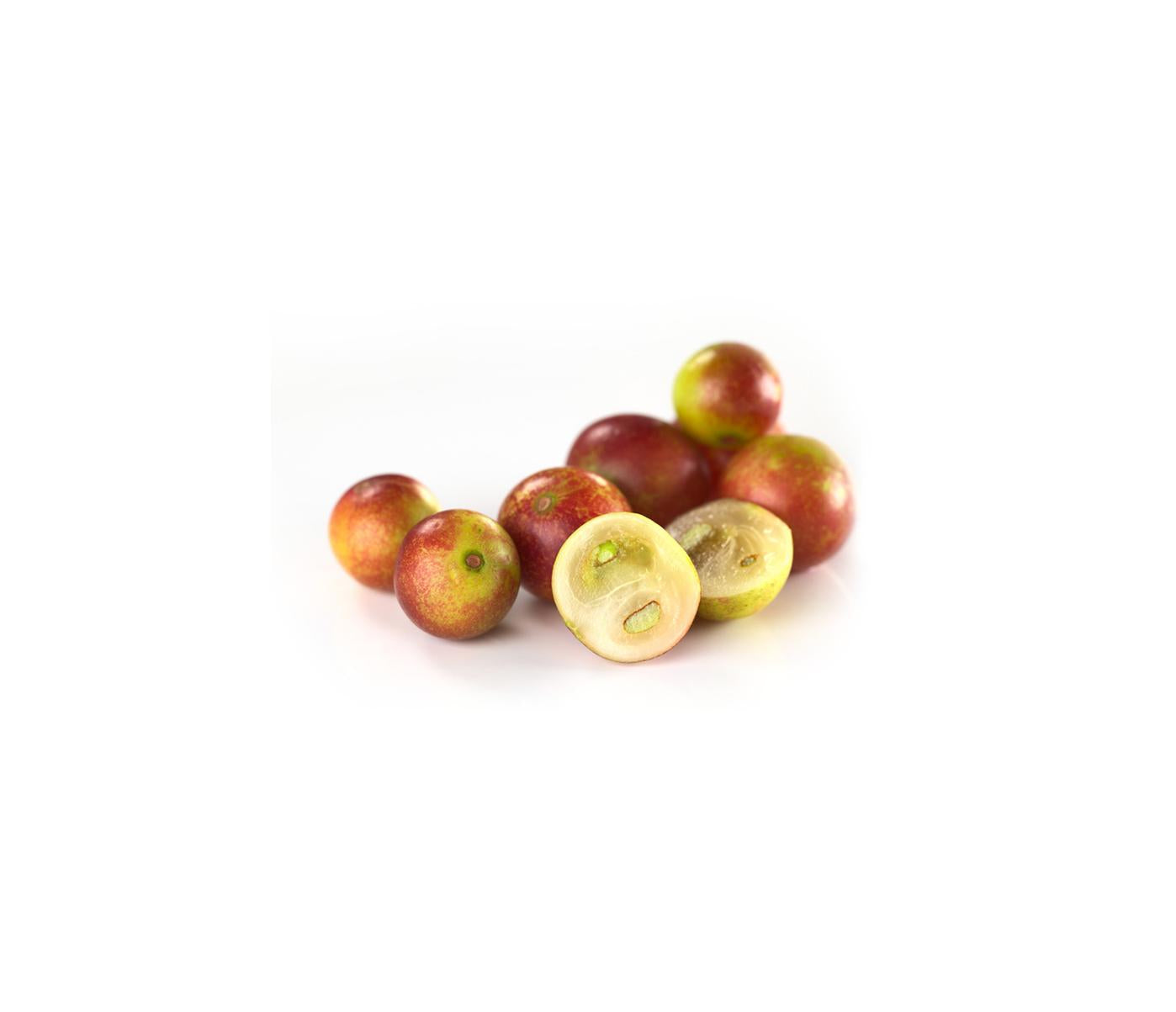 Camu Camu Extrakt mit 25 % zugesetztem Vitamin C, reich an Antioxidantien und Mikronährstoffen. Unterstützt das Immunsystem und die allgemeine Gesundheit. Aplantis bietet Camu Camu Extrakt im B2B-Großhandel für Händler und Hersteller.