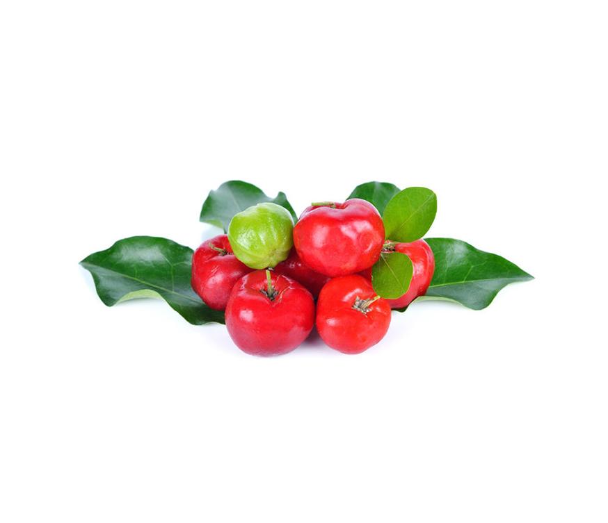 Acerola Extrakt im Verhältnis 10:1 mit 50 % zugesetztem Vitamin C. Reich an natürlichen Antioxidantien und Vitaminen, ideal für Nahrungsergänzungsmittel, Getränke, Smoothies und Functional Foods. Aplantis ist Großhändler für Acerola Extrakt und beliefert Händler und Wiederverkäufer im B2B-Großhandel.