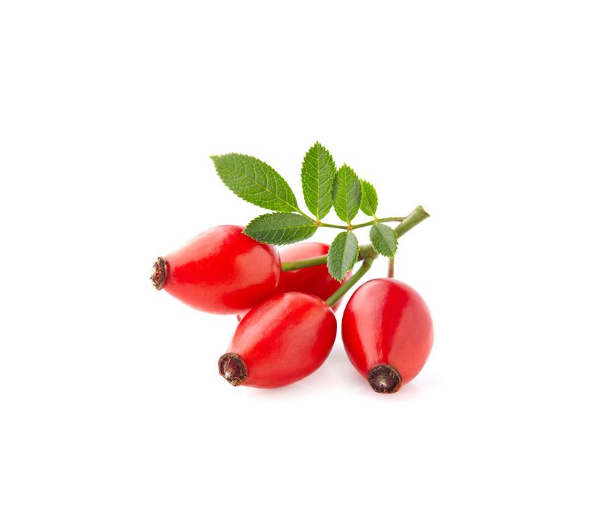 Bio Hagebutten Pulver in Premiumqualität, reich an natürlichem Vitamin C, Mineralstoffen und Antioxidantien. Ideal für Tee, Smoothies, Nahrungsergänzungsmittel und gesunde Backwaren. Das Pulver unterstützt das Immunsystem und fördert Vitalität. Aplantis ist Großhändler für Bio Hagebutten Pulver – im B2B-Großhandel kaufen, perfekt für Händler und Wiederverkäufer von gesundem Superfood und hochwertigen Pulvern.
