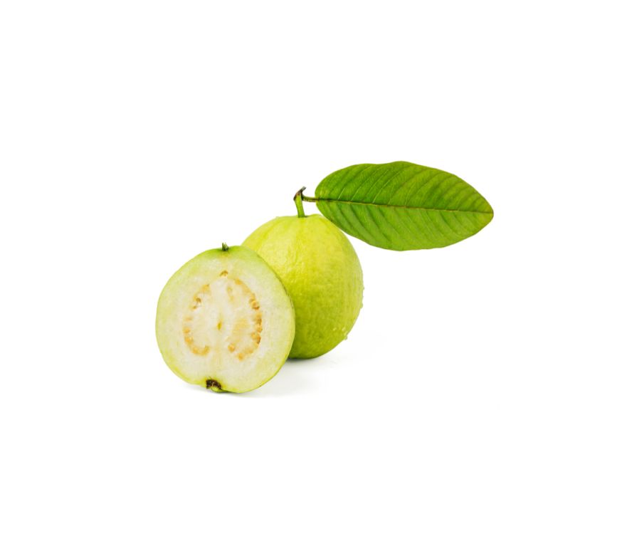 Guave Extrakt mit 4 % Zink, ein wertvolles Superfood und Nahrungsergänzungsmittel zur Unterstützung von Immunsystem, Hautgesundheit und Vitalität. Der Extrakt kombiniert die natürlichen Wirkstoffe der Guave mit dem essenziellen Spurenelement Zink und eignet sich ideal für die Verarbeitung in Pulvern, Kapseln oder funktionellen Mischungen. Aplantis ist Großhändler für Guave Extrakt und bietet dieses Produkt im B2B-Großhandel für Händler, Hersteller und Wiederverkäufer an. Jetzt Guave Extrakt kaufen – gesund,