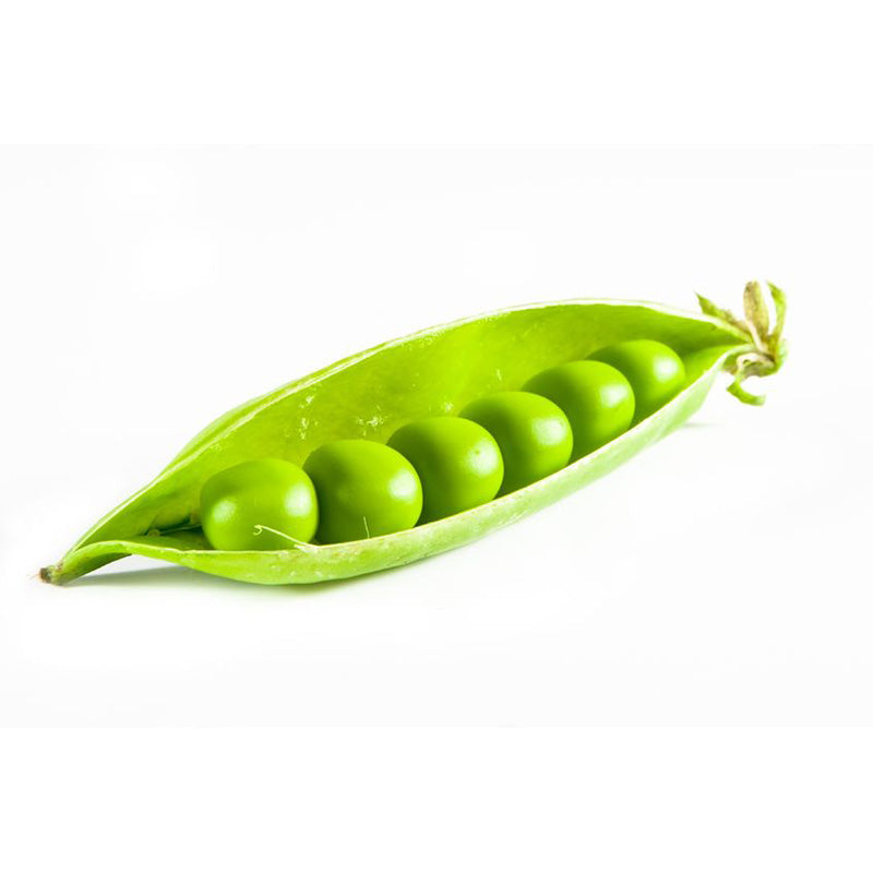 Bio Erbsen Protein 76249